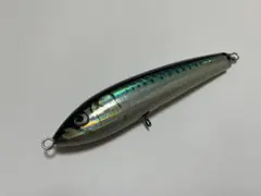 2026年最新】カーペンターブルーフィッシュの人気アイテム - メルカリ