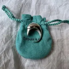 2026年最新】ティファニー ドルフィンの人気アイテム - メルカリ