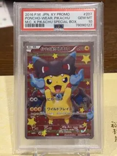 2026年最新】メガポンチョを着たピカチュウ フィギュア : メガ