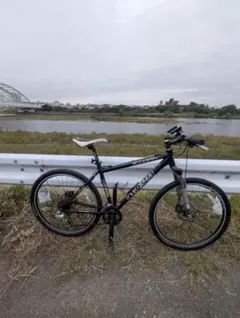 2026年最新】ルイガノ LOUIS GARNEAU XC CASPERの人気アイテム - メルカリ