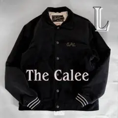 2026年最新】キャリースタジャンの人気アイテム - メルカリ