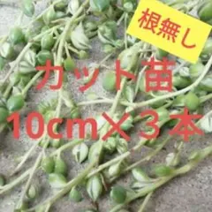 2026年最新】斑入りグリーンネックレス マーブルネックレスの人気