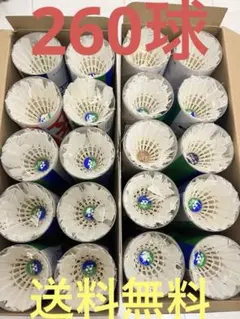 2026年最新】バドミントン シャトル 使用済の人気アイテム - メルカリ