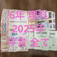 2026年最新】デイリーサピックスの人気アイテム - メルカリ