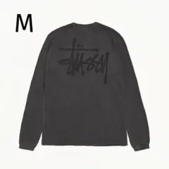 2026年最新】Thermal stussyの人気アイテム - メルカリ