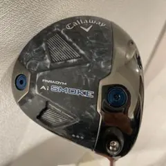 2026年最新】パラダイムaiスモークトリプルダイヤモンド 10.5の人気