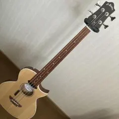 2026年最新】フレットレスベースの人気アイテム - メルカリ