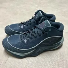 2026年最新】アンプレアルス2 25cmの人気アイテム - メルカリ