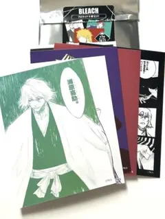 BLEACH 黒衣少年図 四楓院夜一 ガレージキット ガレキ スタチュー②