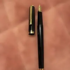 2026年最新】万年筆 パイロット エリートの人気アイテム - メルカリ