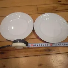 2026年最新】リチャードジノリ ベッキオホワイト 20プレートの人気