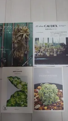 2026年最新】ティランジア ハンドブックの人気アイテム - メルカリ