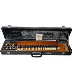 2026年最新】大正琴 ケースの人気アイテム - メルカリ