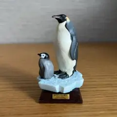 2026年最新】ネイチャーテクニカラー 南極の人気アイテム - メルカリ