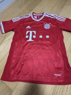 2026年最新】シュバインシュタイガーの人気アイテム - メルカリ