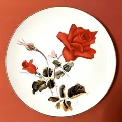 2026年最新】井上武 ノリタケの人気アイテム - メルカリ