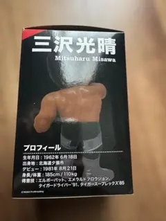 2026年最新】三沢光晴 haoの人気アイテム - メルカリ