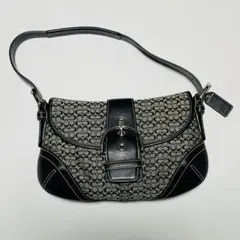 2026年最新】コーチ ミニシグネチャー スモールホーボーの人気アイテム