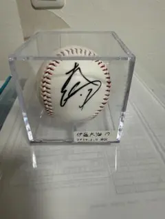 2026年最新】伊藤大海 サインボールの人気アイテム - メルカリ