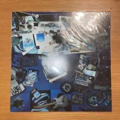 2026年最新】skaai レコードの人気アイテム - メルカリ