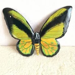 2026年最新】トリバネアゲハの世界の人気アイテム - メルカリ