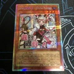 2026年最新】マリス＜ポーン＞ホワイト・ラビットの人気アイテム