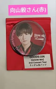 2026年最新】向山 毅の人気アイテム - メルカリ