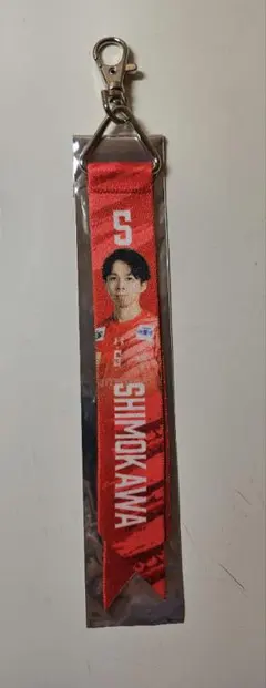 2026年最新】サントリーサンバーズ ボンフィンキーホルダーの人気