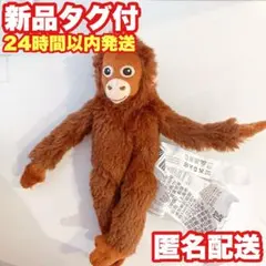 2026年最新】オラウータンぬいぐるみの人気アイテム - メルカリ