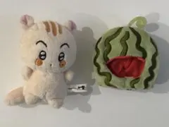 2026年最新】NCT マーク ぬいぐるみ 40の人気アイテム - メルカリ