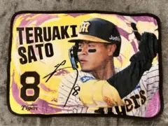 2026年最新】佐藤輝明 ブランケットの人気アイテム - メルカリ