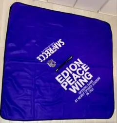 2026年最新】ピースウィング広島の人気アイテム - メルカリ