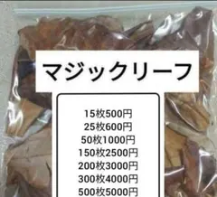 2026年最新】マジックリーフの人気アイテム - メルカリ