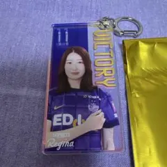 2026年最新】サンフレッチェ広島レジーナの人気アイテム - メルカリ