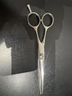 2026年最新】サイキシザーの人気アイテム - メルカリ