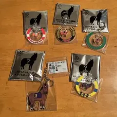 2026年最新】おがわじゅり jraの人気アイテム - メルカリ