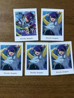 2026年最新】仙石忍 ぱしゃっつの人気アイテム - メルカリ