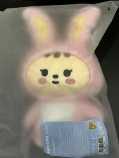 2026年最新】jjongtoram seventeenミニティーンの人気アイテム - メルカリ