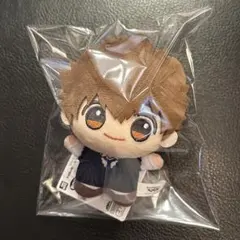 2026年最新】沢田綱吉 ぬいぐるみの人気アイテム - メルカリ