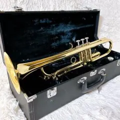 2026年最新】Marcato sophiaの人気アイテム - メルカリ