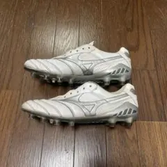 2026年最新】モレリアdnaの人気アイテム - メルカリ