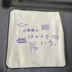 2026年最新】山根綺のほんとのところ。の人気アイテム - メルカリ