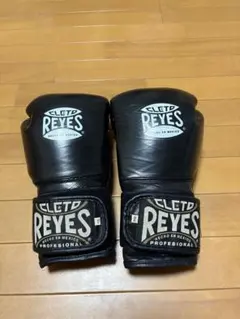 2026年最新】レイジェス グローブの人気アイテム - メルカリ