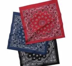 2026年最新】supreme バンダナの人気アイテム - メルカリ