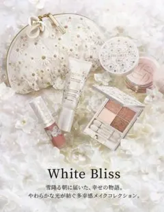 2026年最新】コスメデコルテ クリスマスコフレ ショッパーの人気