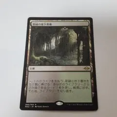 2026年最新】新緑の地下墓地の人気アイテム - メルカリ