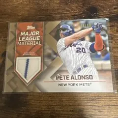 2026年最新】ピート・アロンソの人気アイテム - メルカリ