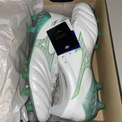 2026年最新】モレリアネオ3 グリーンの人気アイテム - メルカリ