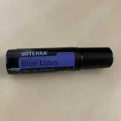 2026年最新】ブルーロータス BLUE LOTUSの人気アイテム - メルカリ