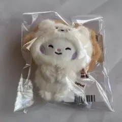 2026年最新】zb1 ユジン ぬいぐるみの人気アイテム - メルカリ